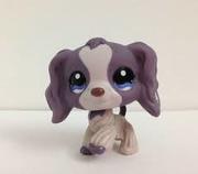 honden foto honden foto van Belinda