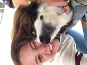 honden foto van granitzer