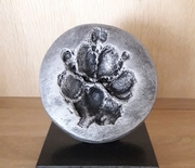 honden foto van mier