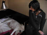 honden foto van sietske raeijmaekers