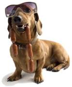 honden foto van Arie Brants