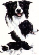 honden foto van vanessa