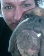 honden foto van Bullie Igor