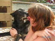 honden foto van Maaike & de rest van de beestebende 