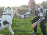 honden foto van Amanda