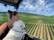 honden foto honden foto van Linda & Chuck Norris