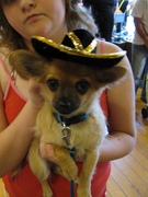 honden foto van Astrid Bello