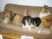 honden foto van Simone