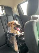 honden foto van Suzanna