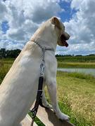 honden foto van Joyce
