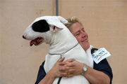 honden foto van pollyssa