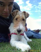 honden foto van Jeroen