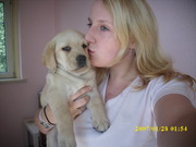 honden foto van Julia