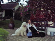 honden foto van Eva Fahrenholz