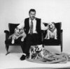 honden foto van jean paul vergucht