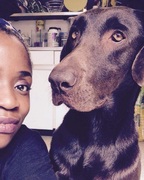 honden foto van Lumia Dorcélus 