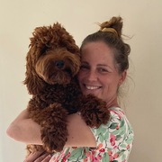 honden foto van Mahogany Melody Doodles