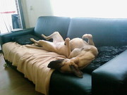 honden foto van leanne en koda