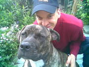 honden foto van dimitri