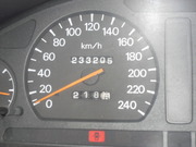 honden foto van ??????????????