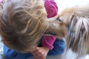 honden foto van Adriana