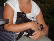 honden foto van Marc