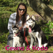 honden foto honden foto van Marinda