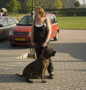 honden foto van mascha