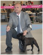 honden foto van Gilis