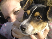 honden foto van sabrina