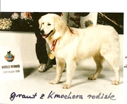 honden foto van Grant z Kmochova rodiste