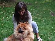 honden foto van doetie