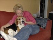 honden foto van monique de jonge