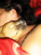 honden foto van Babs & Buddha