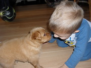 honden foto van jenny