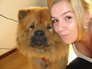 honden foto van Ilse