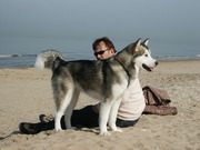 honden foto van Hans Smits