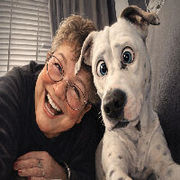 honden foto van monique