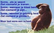 honden foto honden foto van peetje