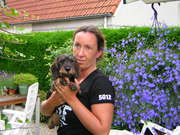 honden foto honden foto van kennel Le Petit Chien de Chasse