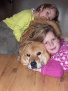 honden foto van Katja