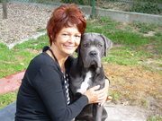 honden foto van Het heksje