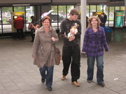 honden foto honden foto van