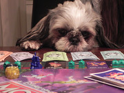 honden foto van Christa