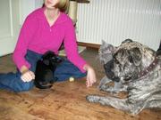 honden foto van edith