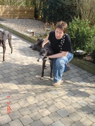 honden foto van leonce festers