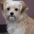 honden foto van suzannepeters-naus&Puk 