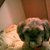 honden foto van Lucy