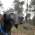 honden foto van Holyblizzz