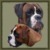 honden foto van Petra en de platsmoeltjes